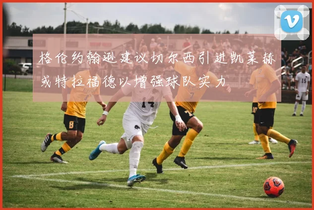 格伦约翰逊建议切尔西引进凯莱赫或特拉福德以增强球队实力